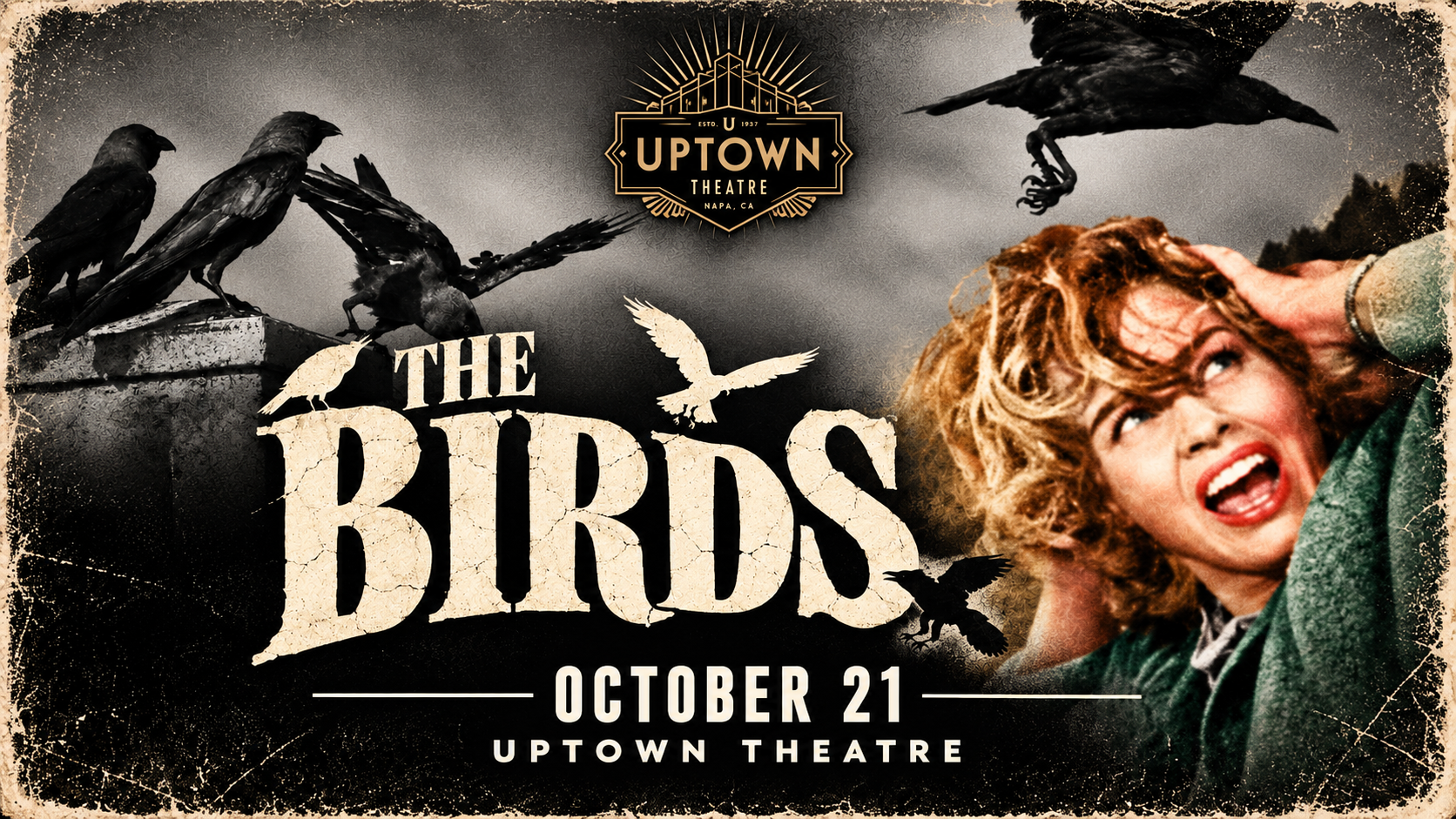 slider image - Movie Night at The Uptown – The Birds - 21
